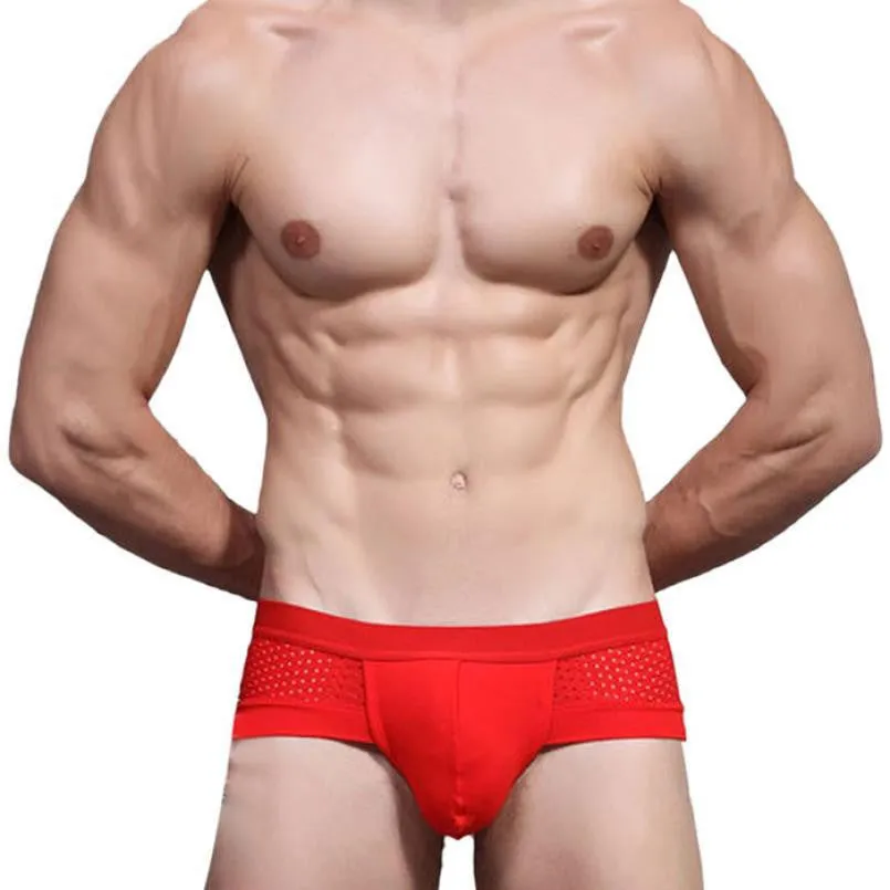 JECKSION 2016 New Mens calzoncillos Underwear Sexy Mesh Triangle Breathable Underpants #LYW