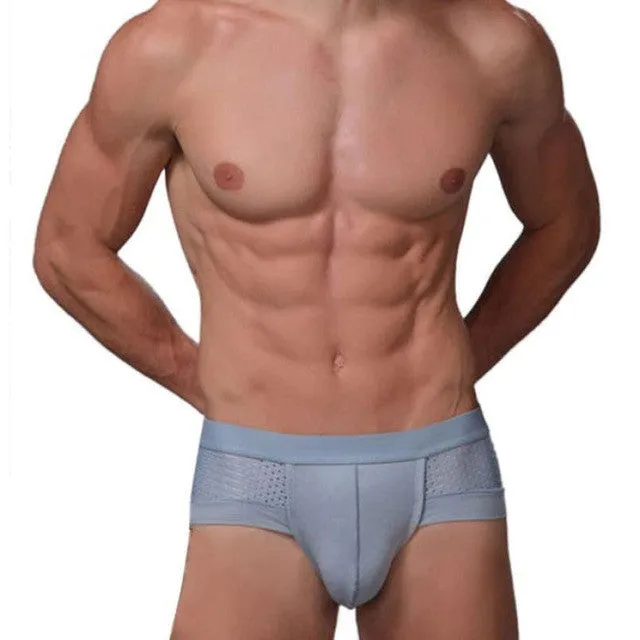 JECKSION 2016 New Mens calzoncillos Underwear Sexy Mesh Triangle Breathable Underpants #LYW