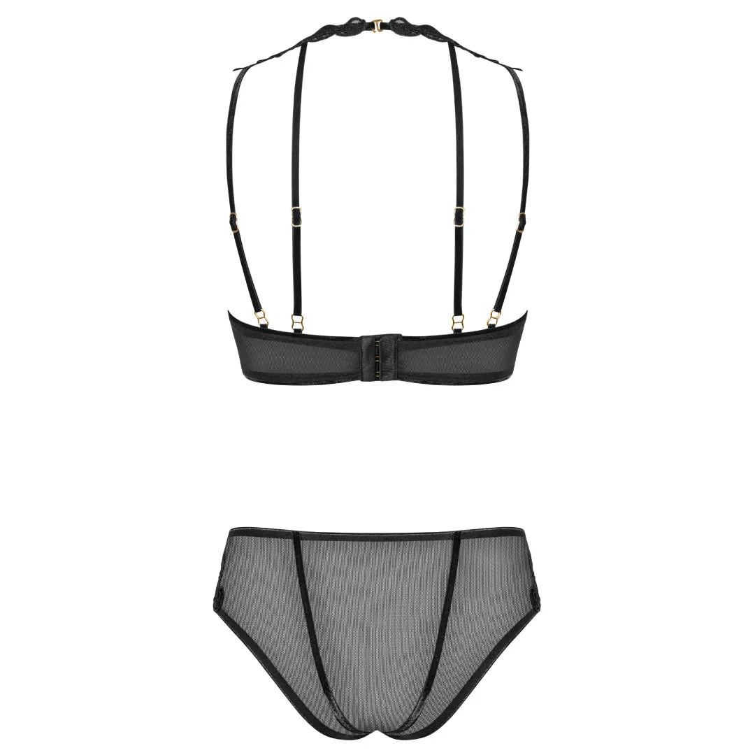Sexy Sheer Demi Bra & Mesh Bikini Panty Set Majesty