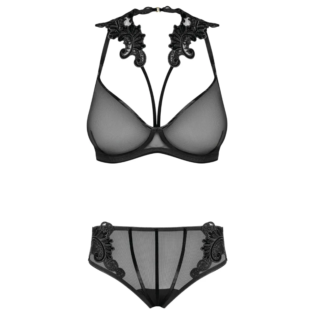Sexy Sheer Demi Bra & Mesh Bikini Panty Set Majesty